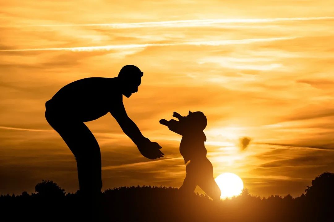 父亲节到了,祝勤劳的父亲安康幸福!祝每一位父亲节日快乐父亲节|2023.